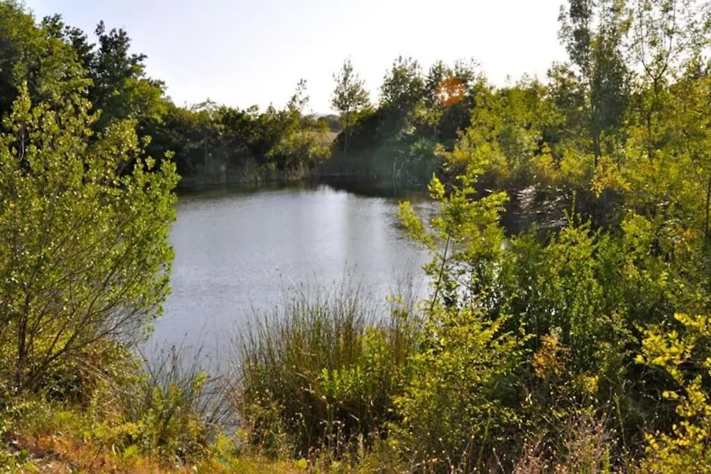Tenuta Tegolaia Ponteginori Holiday home